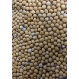   Paleolit Mustármag egész sárga 25kg lédig White mustard - Sinapis Alba