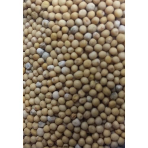 Paleolit Mustármag egész sárga 25kg lédig White mustard - Sinapis Alba