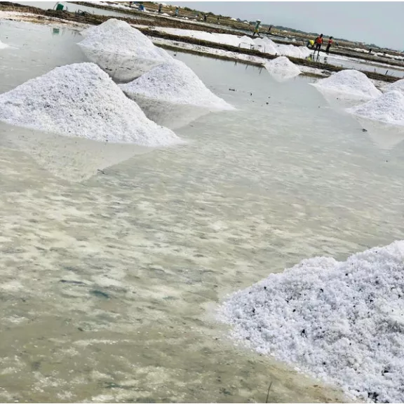 Paleolit Kelta tengeri só durva 30kg lédig <6mm Celtic bluesea salt granulate