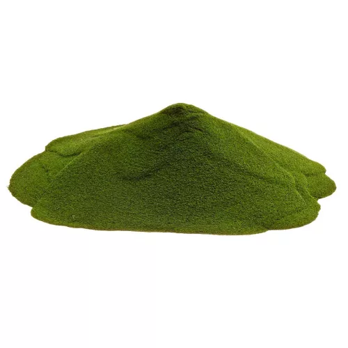 Paleolit Chlorella alga por 25kg lédig
