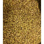 Paleolit Koriandermag egész 1kg