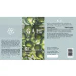 GAL K1-Vitamin 1000mcg K-vitamin x 480 adag