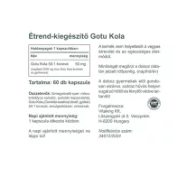   Vitaking Gotu Kola kivonat 2000mg (60) vegán kapszula (Ázsiai gázló)