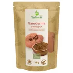 BioMenü BIO Ganoderma gombapor 100g