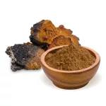 BioMenü BIO Chaga gombapor 100g