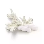 Caleido Okinawai Korall Kalcium kapszula 60db