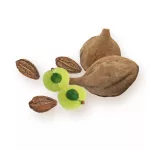 BioMenü BIO Triphala kapszula 60db
