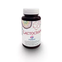 Freyagena Áfonya LACTOCRAN 60 kapszula