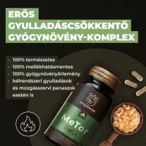   Myrobalan MeTor gyulladáscsökkentő 60db gyógynövény komplex kapszula