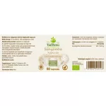 BioMenü BIO Süngomba kapszula 60db