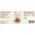 Caleido Máriatövis 60db kapszula