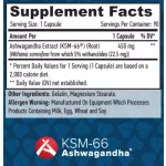 Haya Labs Ashwagandha KSM-66 (450mg) - 90 kapszula