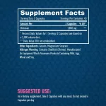 Haya Labs Chitosan - természetes eredetű rost (500mg) - 90 kapszula