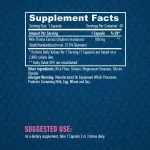 Haya Labs Máriatövis Milk Thistle (100mg) - 60 kapszula