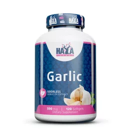  Haya Labs - Odorless Garlic 500mg. / 120 Softgels - Szív- és érrendszer