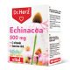 Dr Herz Echinacea 500 mg+C-vitamin+Szerves Cink kapszula 60 db DOBOZOS