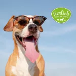 Tierlieb /Sanct Bernhard/ Tengeri hínár granulátum kutyáknak és macskáknak 300g (100% Tisztaságú)